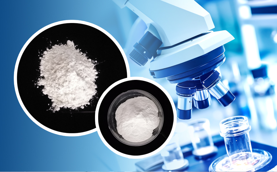 利来·国际(中国)最老牌有限公司官网